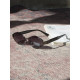 жіночі Окуляри MIU silver black lins 4 ДЛ7247