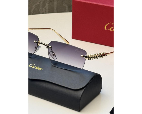 Окуляри Cartie gold ВТ4688