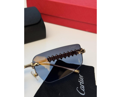 Окуляри Cartie gold ВТ4688