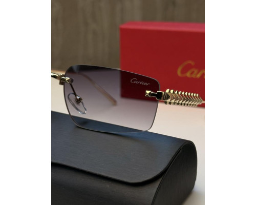 Окуляри Cartie gold lins ВТ4689
