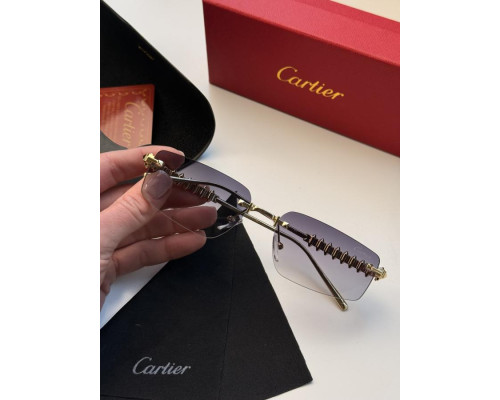 Окуляри Cartie gold lins ВТ4689