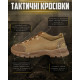 кросівки тактичні trench cayot