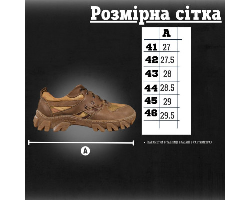 кросівки тактичні мультикам triangle